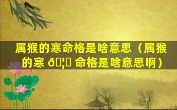 属猴的寒命格是啥意思（属猴的寒 🦊 命格是啥意思啊）